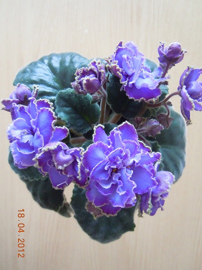 DSCN3022.JPG