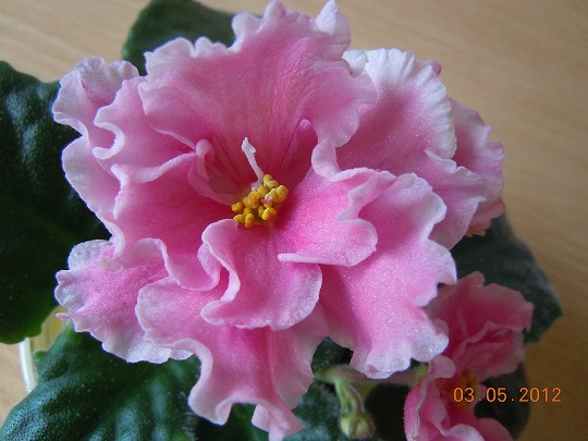DSCN3159.JPG