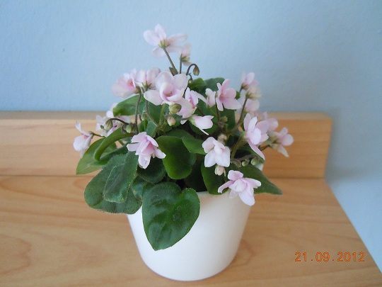 DSCN4876.JPG