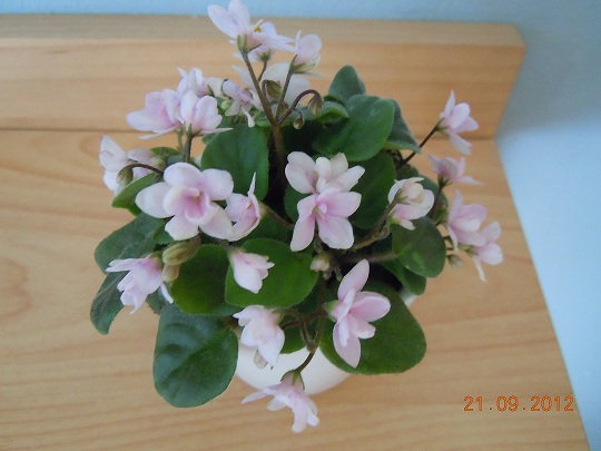 DSCN4877.JPG
