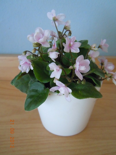 DSCN4878.JPG