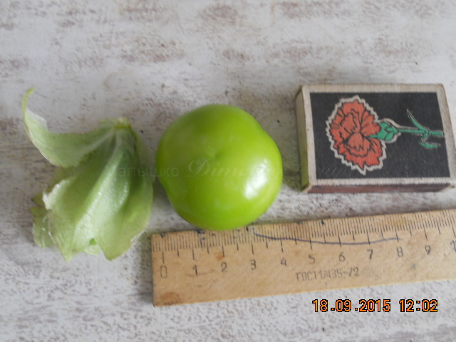 DSCN6207 физалис вверх лицом.JPG