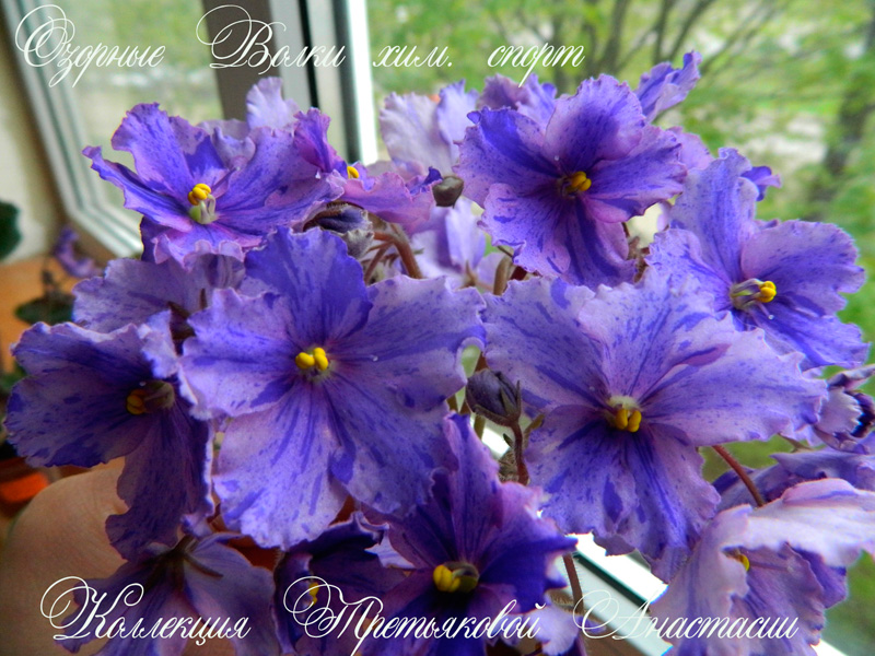DSCN6308.jpg