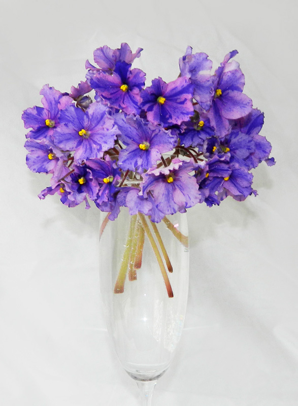 DSCN6318.jpg