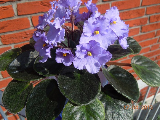 DSCN6361.JPG