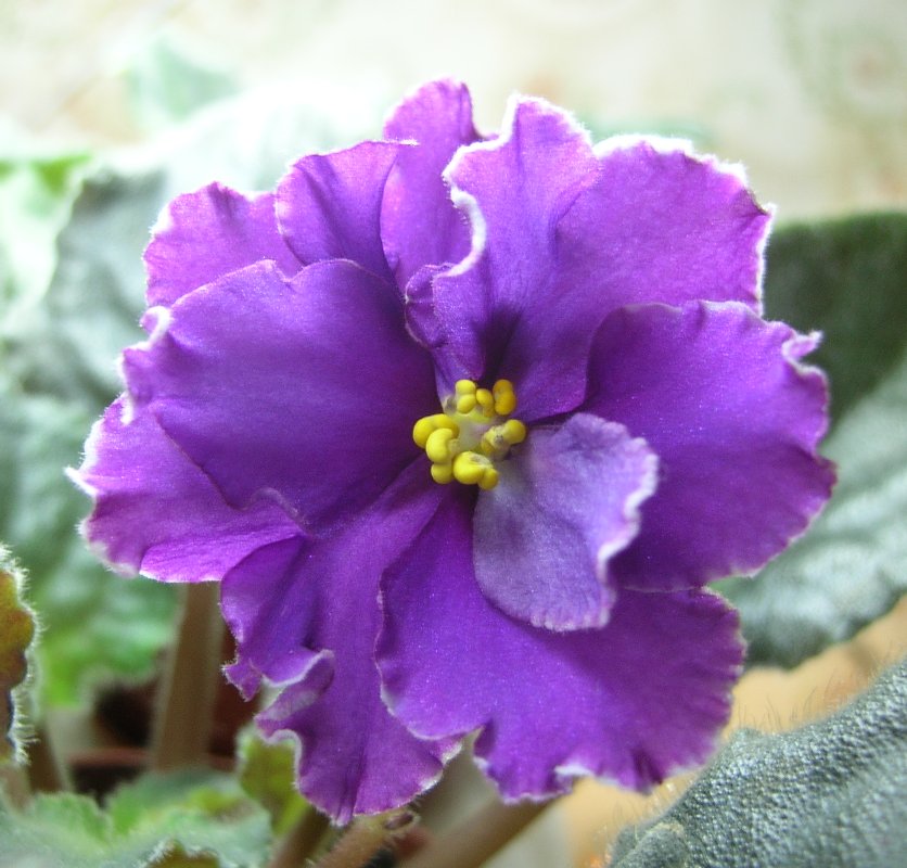 DSCN7212_кадр_sm2.jpg