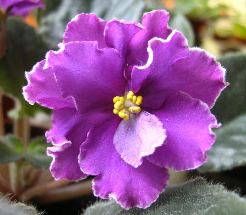 DSCN7220_кадр_sm2.jpg