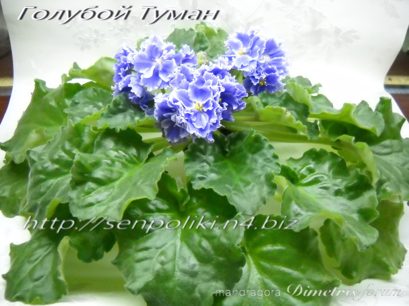 DSCN8058.jpg