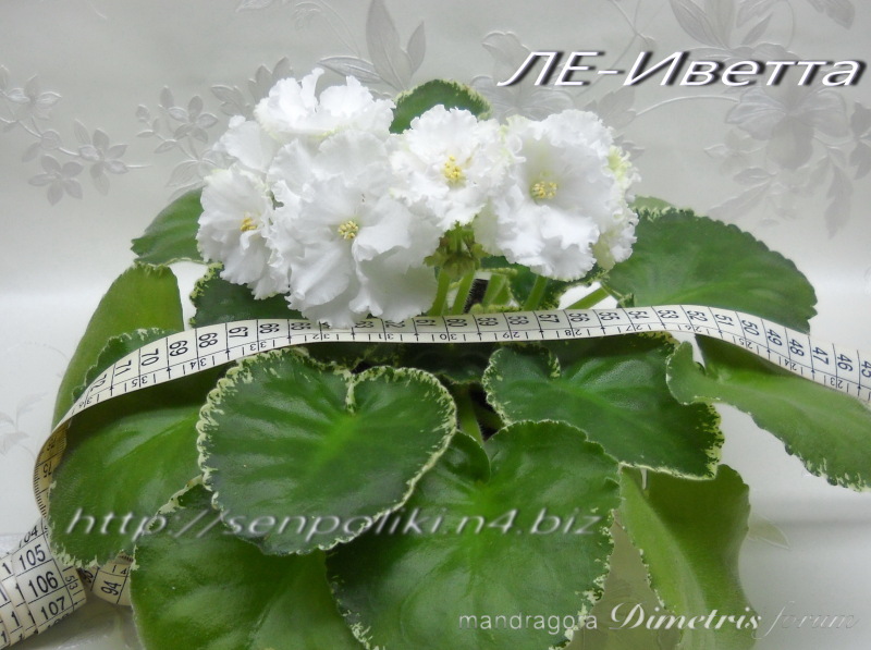 DSCN8062.jpg
