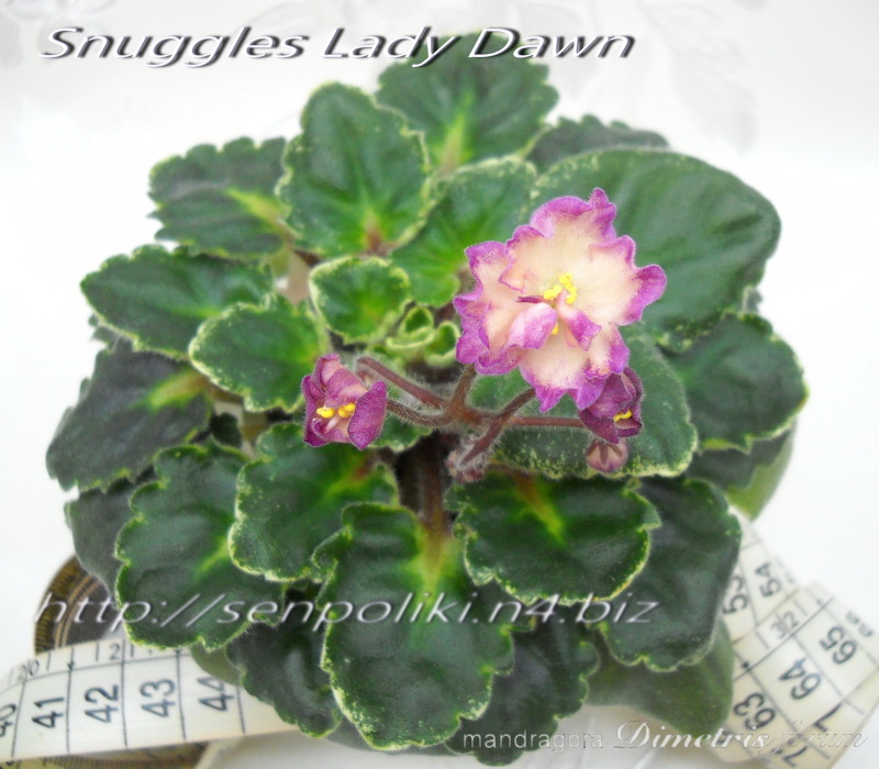DSCN8278.jpg