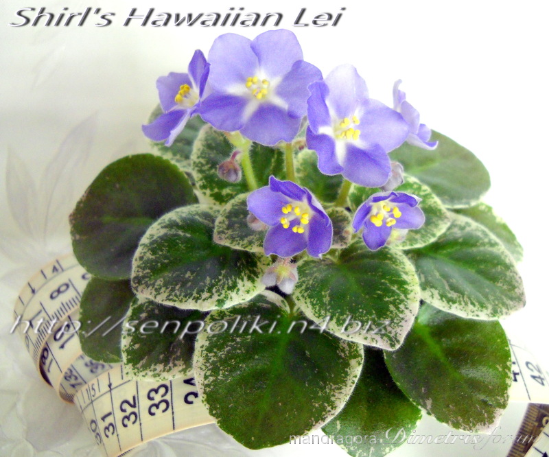 DSCN9235.jpg