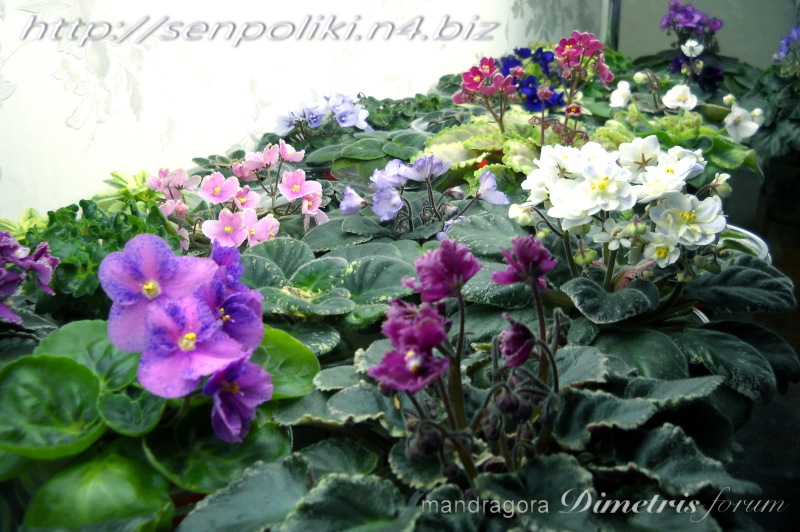 DSCN9673.jpg
