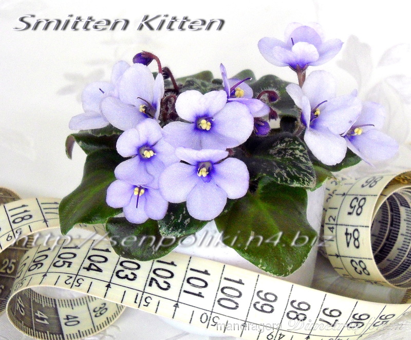 DSCN9731.jpg