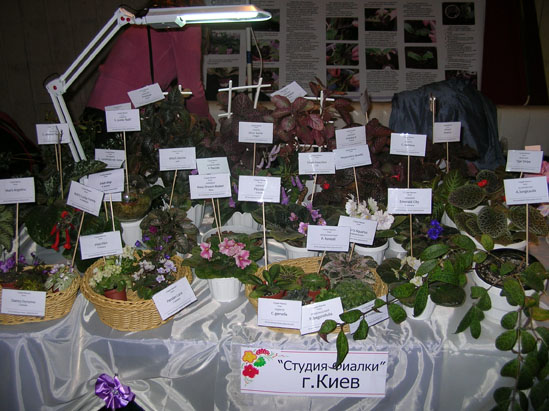 DSCN9802_web.jpg