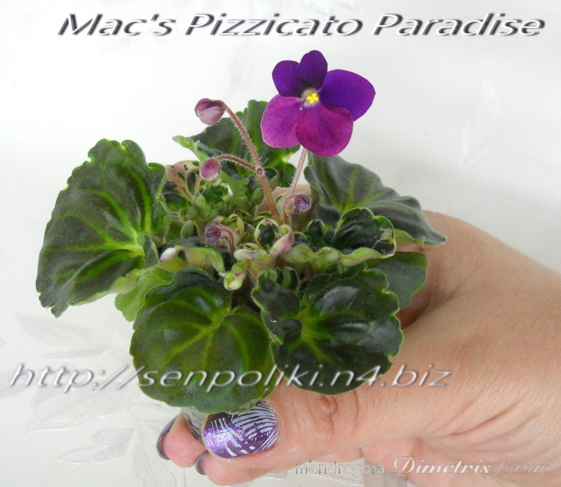 DSCN9824.jpg