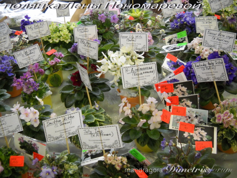 DSCN9905.jpg