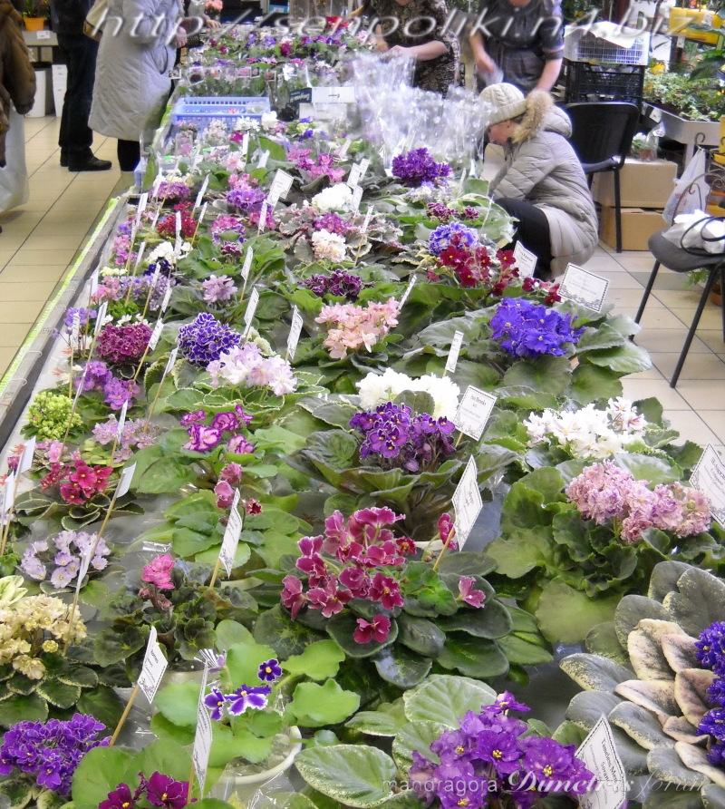 DSCN9916.jpg