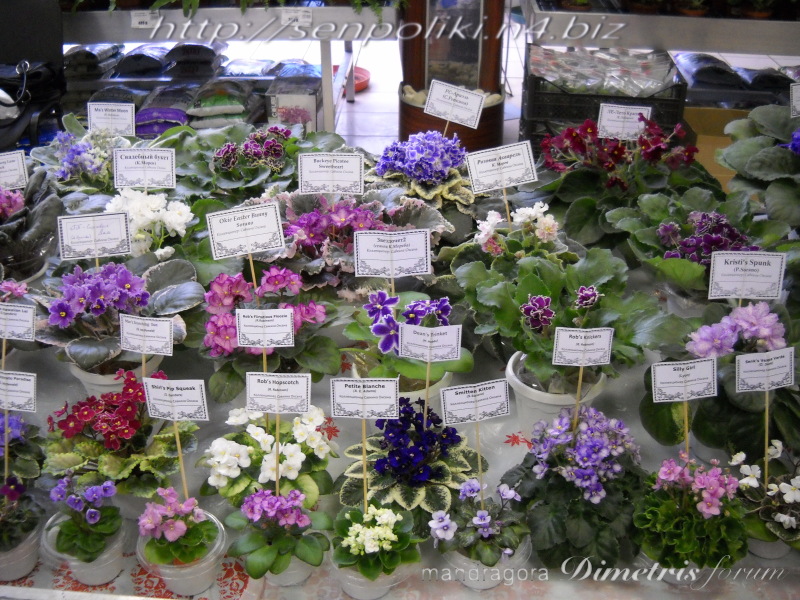 DSCN9918.JPG