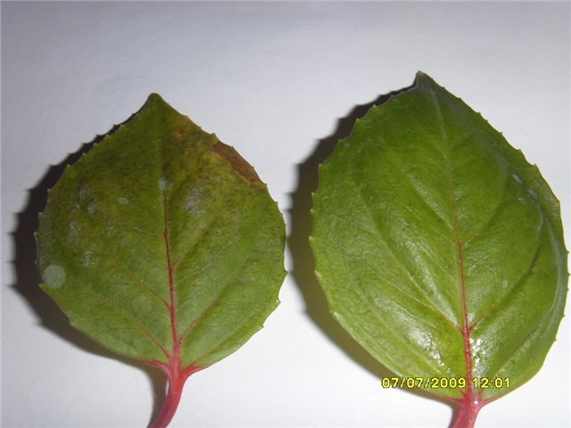 e92794aafb2e.jpg
