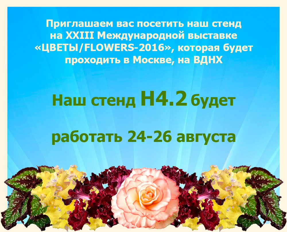 Flower's show.jpg