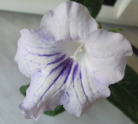 image001.jpg