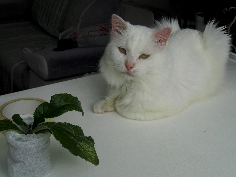 img1575.jpg