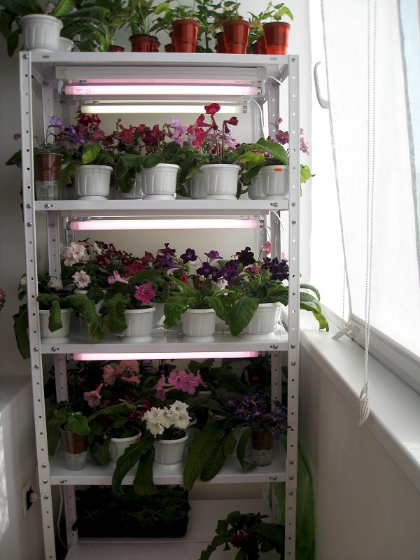 img1717.jpg