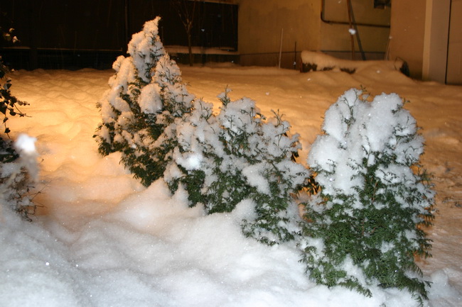 IMG_0024_новый размер.JPG