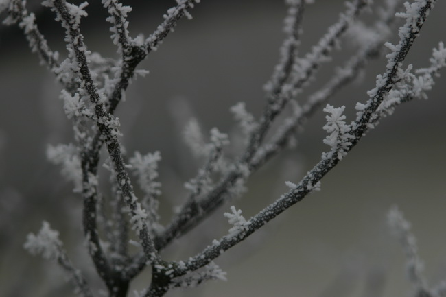 IMG_0040_новый размер.JPG