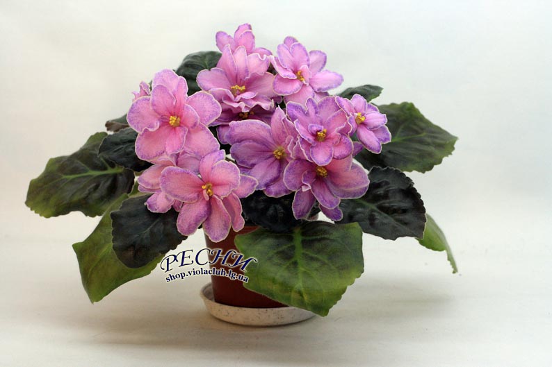 IMG_0528 копия.jpg