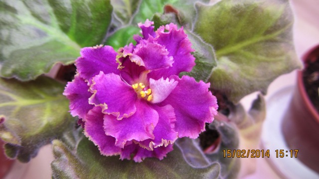 IMG_0751web.jpg