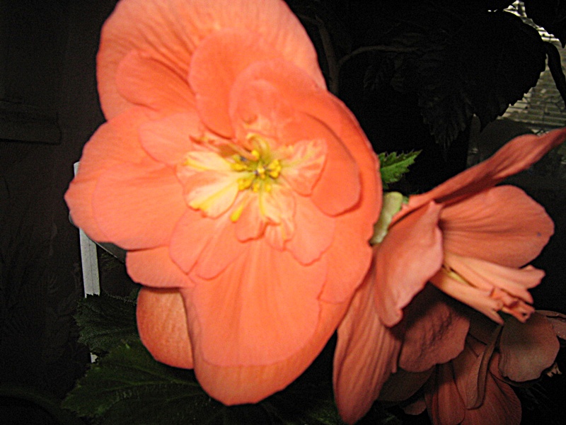 IMG_1134.JPG