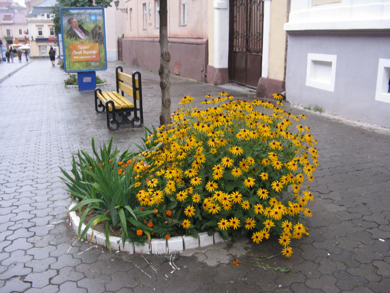 IMG_1292.JPG