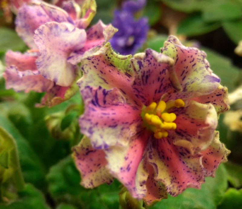 IMG_20140609_153124-1.jpg