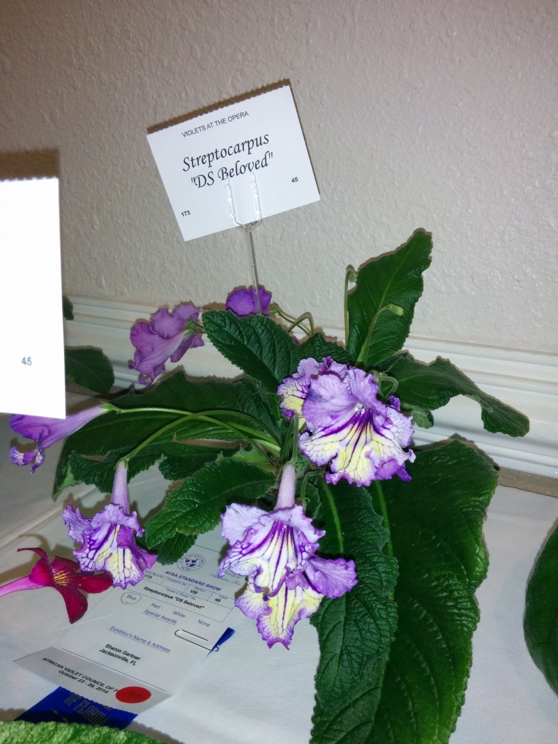 IMG_20141025_131416.jpg
