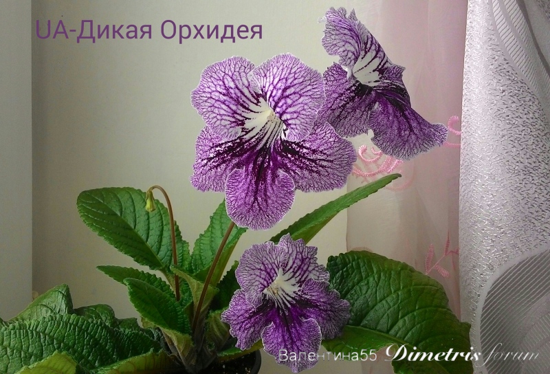 IMG_20160118_144635.jpg