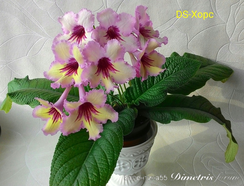 IMG_20160330_180705.jpg