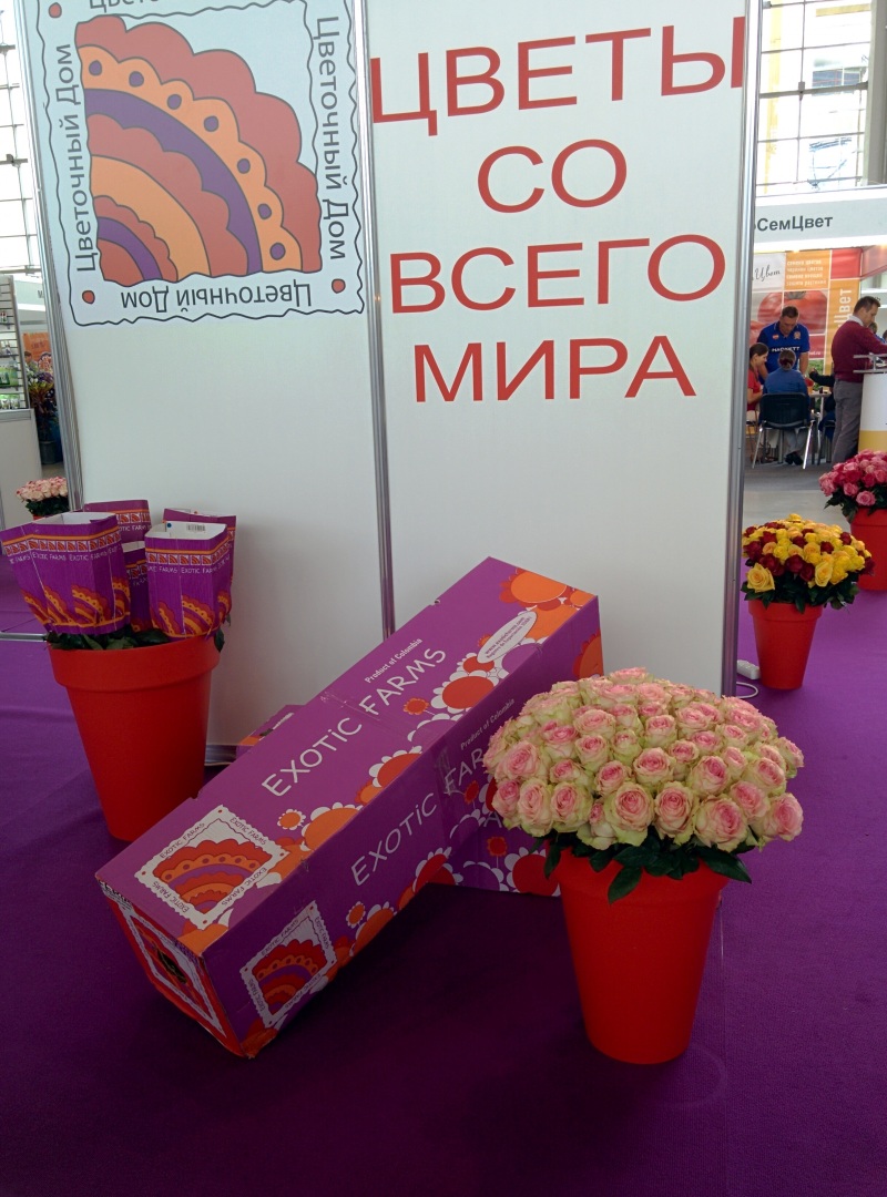 IMG_20160826_122420.jpg