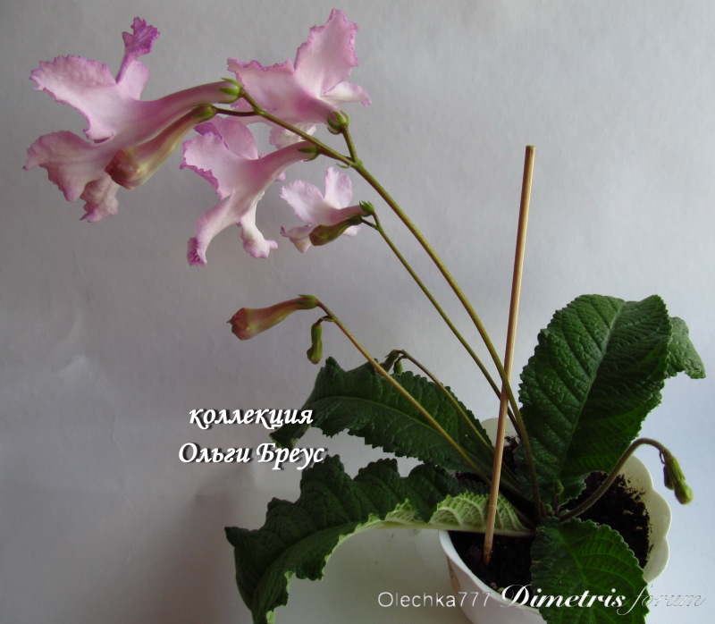IMG_5153.jpg
