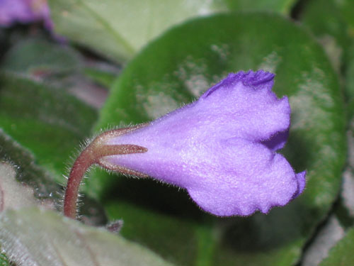 IMG_8148 копия.jpg