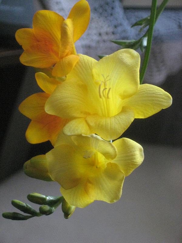 IMG_9164.jpg
