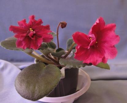 IMG_9656 Биг Файр.JPG