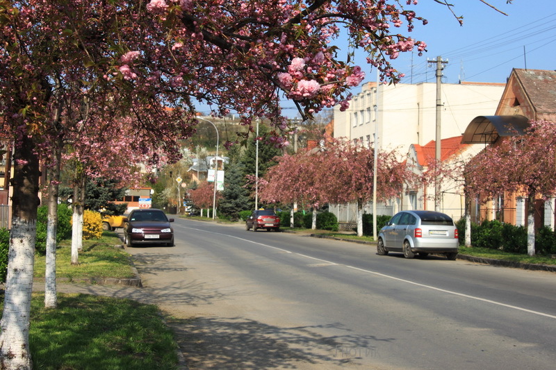 IMG_9830.JPG