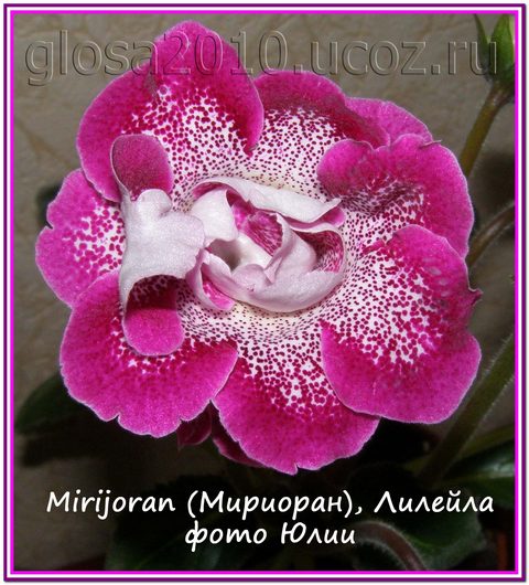 Mirijoran2222.jpg