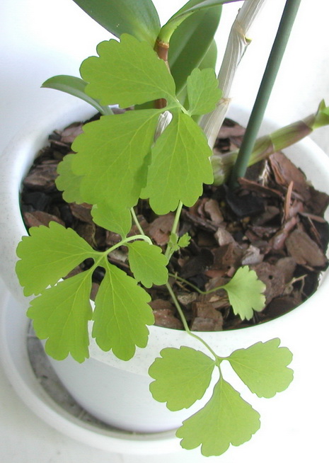 P1010013.jpg