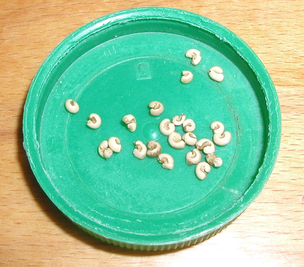 P1010024.JPG