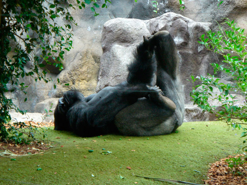 P1010667-1.jpg