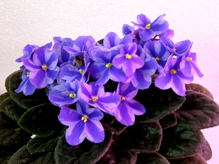 P1080007.JPG