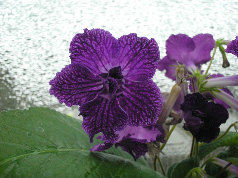 P1-255.JPG