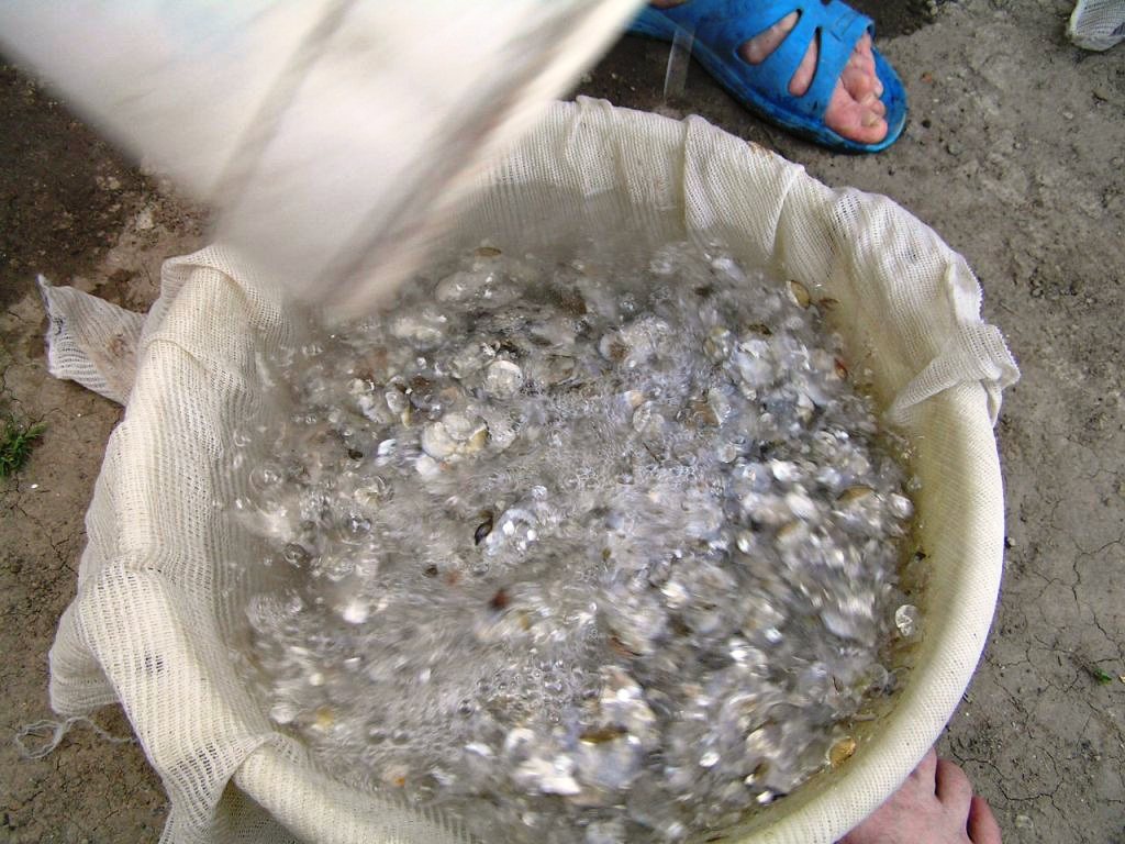 P5220020.JPG